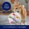 Show in main carousel: Frisco Birthday Cake Plush Squeaky Dog Toy, Medium slide 5 of 7