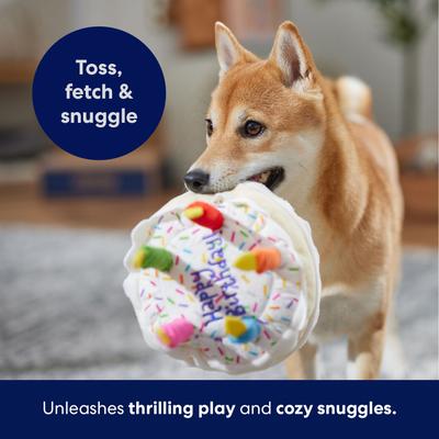 Show full view: Frisco Birthday Cake Plush Squeaky Dog Toy, Medium slide 5 of 7