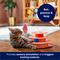 Show in main carousel: Frisco Birthday Cat Tracks Cat Toy slide 5 of 8
