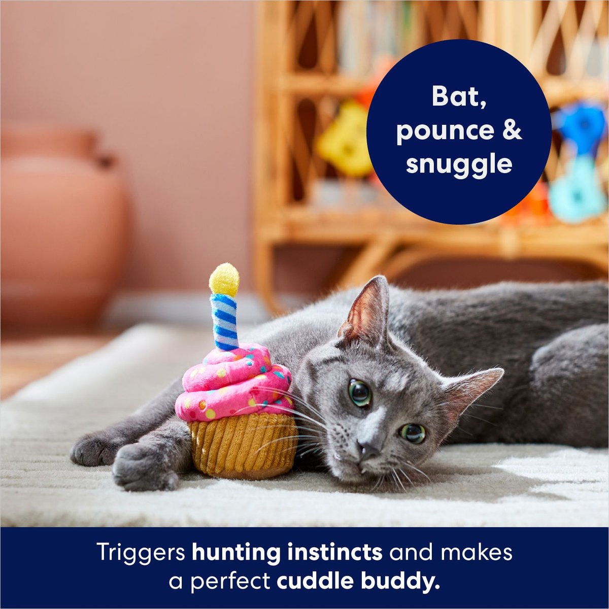 Frisco Birthday Bundle Cat Toy with Catnip