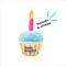 Show in main carousel: Frisco Birthday Cupcake Plush Squeaky Dog Toy, Small/Medium slide 3 of 7