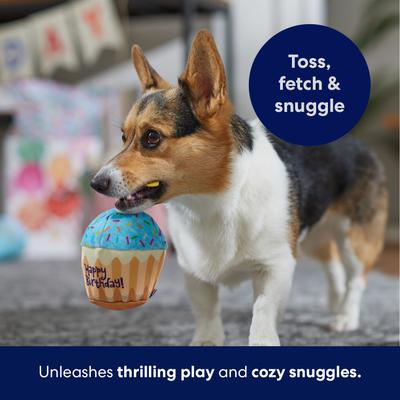 Show full view: Frisco Birthday Cupcake Plush Squeaky Dog Toy, Small/Medium slide 5 of 7