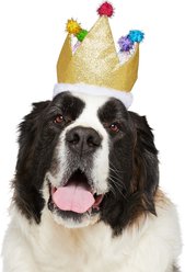 Frisco Birthday Glitter Crown Dog & Cat Hat, Medium/Large