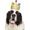 Show in main carousel: Frisco Birthday Glitter Crown Dog & Cat Hat, Medium/Large slide 1 of 8