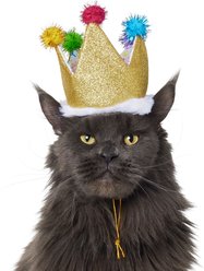 Frisco Birthday Glitter Crown Dog & Cat Hat, X-Small/Small