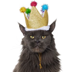 Frisco Birthday Glitter Crown Dog & Cat Hat, X-Small/Small