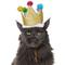 Show in main carousel: Frisco Birthday Glitter Crown Dog & Cat Hat, X-Small/Small slide 1 of 8