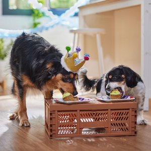 Frisco Birthday Glitter Crown Dog & Cat Hat, X-Small/Small