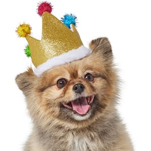 Frisco Birthday Glitter Crown Dog & Cat Hat, X-Small/Small