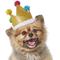 Show in main carousel: Frisco Birthday Glitter Crown Dog & Cat Hat, X-Small/Small slide 3 of 8