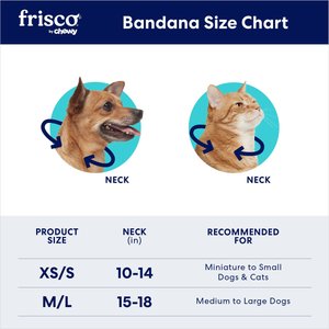 Frisco Birthday Pup Dog & Cat Bandana, Medium/Large