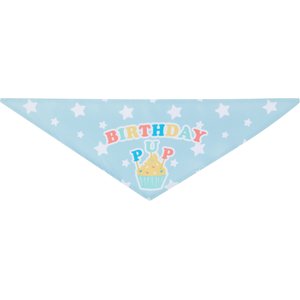 Frisco Birthday Pup Dog & Cat Bandana, Medium/Large
