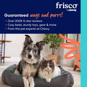 Frisco Birthday Pup Dog & Cat Bandana, Medium/Large