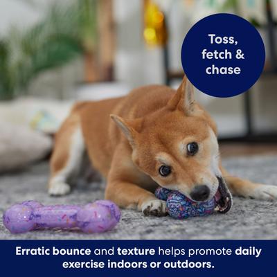 Show full view: Frisco Birthday TPR Fetch Bone Squeaky Dog Toy, Medium/Large, 2 count slide 6 of 8