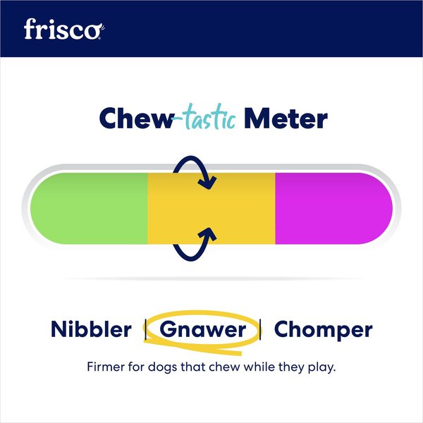 Show full view: Frisco Birthday TPR Fetch Bone Squeaky Dog Toy, Purple, Medium/Large slide 4 of 7