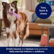 Show in main carousel: Frisco Birthday TPR Fetch Bone Squeaky Dog Toy, Purple, Medium/Large slide 5 of 7