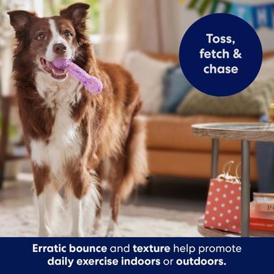 Show full view: Frisco Birthday TPR Fetch Bone Squeaky Dog Toy, Purple, Medium/Large slide 6 of 8