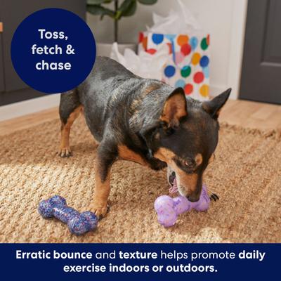 Show full view: Frisco Birthday TPR Fetch Bone Squeaky Dog Toy, Small/Medium, 2 count slide 5 of 7