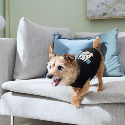 Show full view: Frisco Birthday Vibe Dog & Cat T-Shirt, XX-Large slide 6 of 8