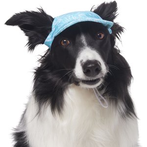 Frisco Blue Ocean Waves 30 + UPF Dog & Cat Beach Cap, X-Large/XX-Large