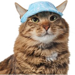 Frisco Blue Ocean Waves 30 + UPF Dog & Cat Beach Cap, X-Small/Small