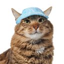 Frisco Blue Ocean Waves 30 + UPF Dog & Cat Beach Cap, X-Small/Small