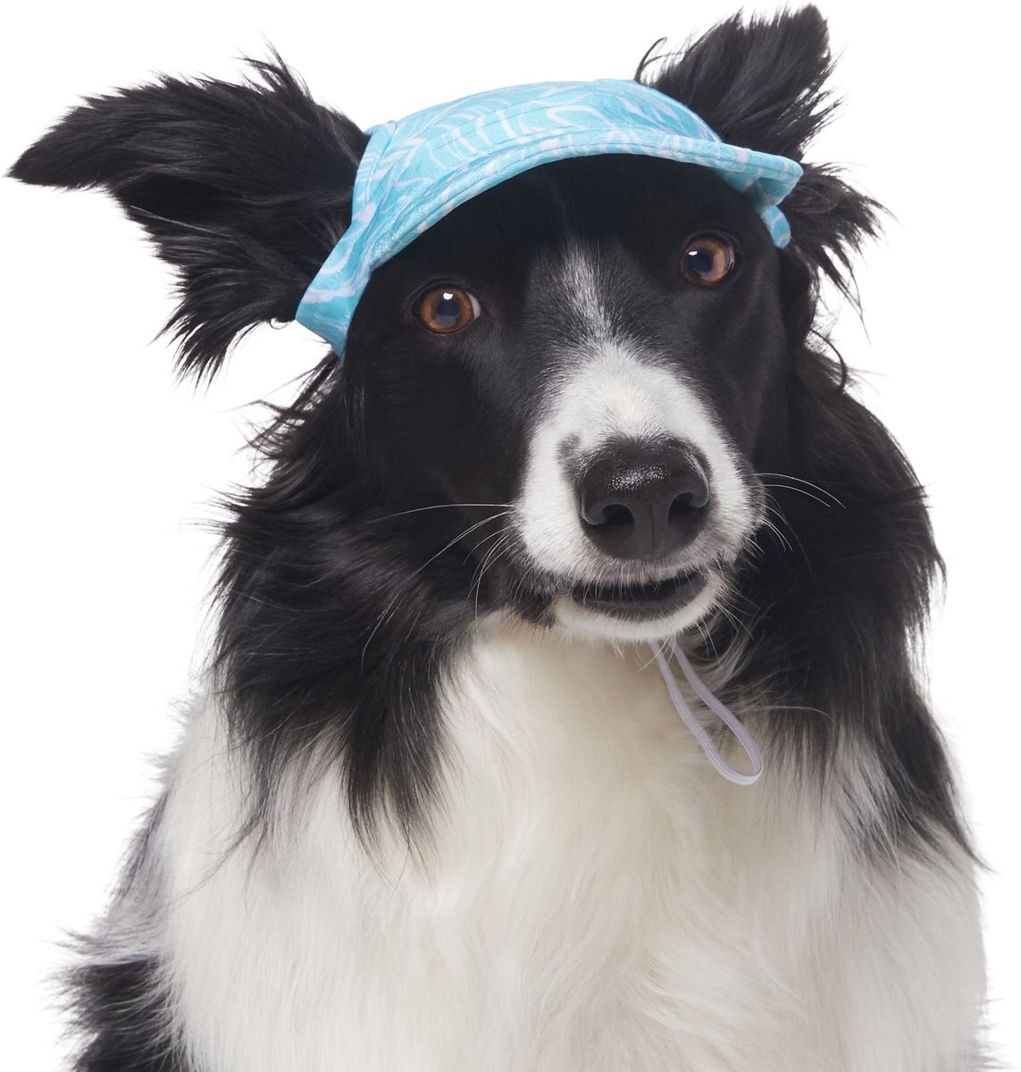 Frisco Blue Ocean Waves Dog & Cat Jersey PJs