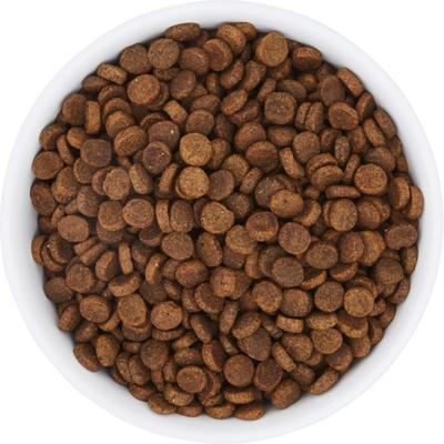 Show full view: Frisco Bohemian Dog & Cat Bowl, 4 cup, 1 count slide 6 of 12