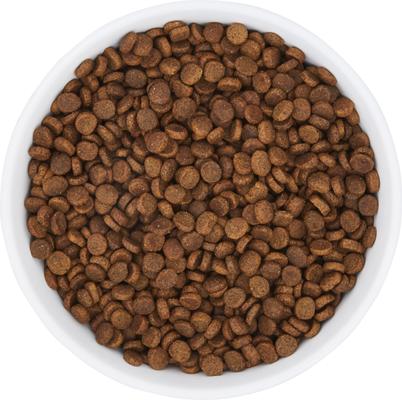 Show full view: Frisco Bohemian Dog & Cat Bowl, 8 cup, 1 count slide 6 of 11