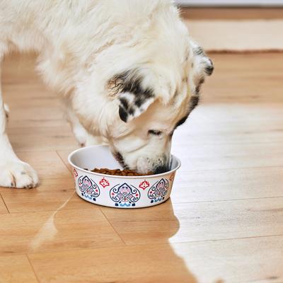 Show full view: Frisco Bohemian Dog & Cat Bowl, 8 cup, 1 count slide 9 of 11