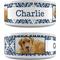 Show in main carousel: Frisco Boho Damask Ceramic Personalized Dog Bowl, 4.75 cup slide 1 of 7