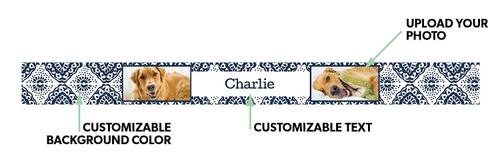 Show full view: Frisco Boho Damask Ceramic Personalized Dog Bowl, 4.75 cup slide 3 of 7