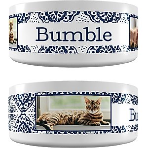 Frisco Boho Damask Ceramic Personalized Dog & Cat Bowl, 1.1-cup, 1 cup