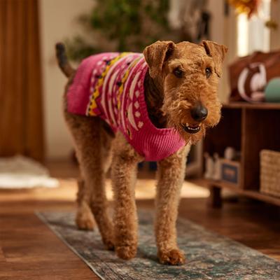 Show full view: Frisco Bold Nordic V-Neck Dog & Cat Sweater, XX-Large slide 7 of 9