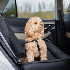 Frisco Bolster Bench Car Seat Cover, Large, Black