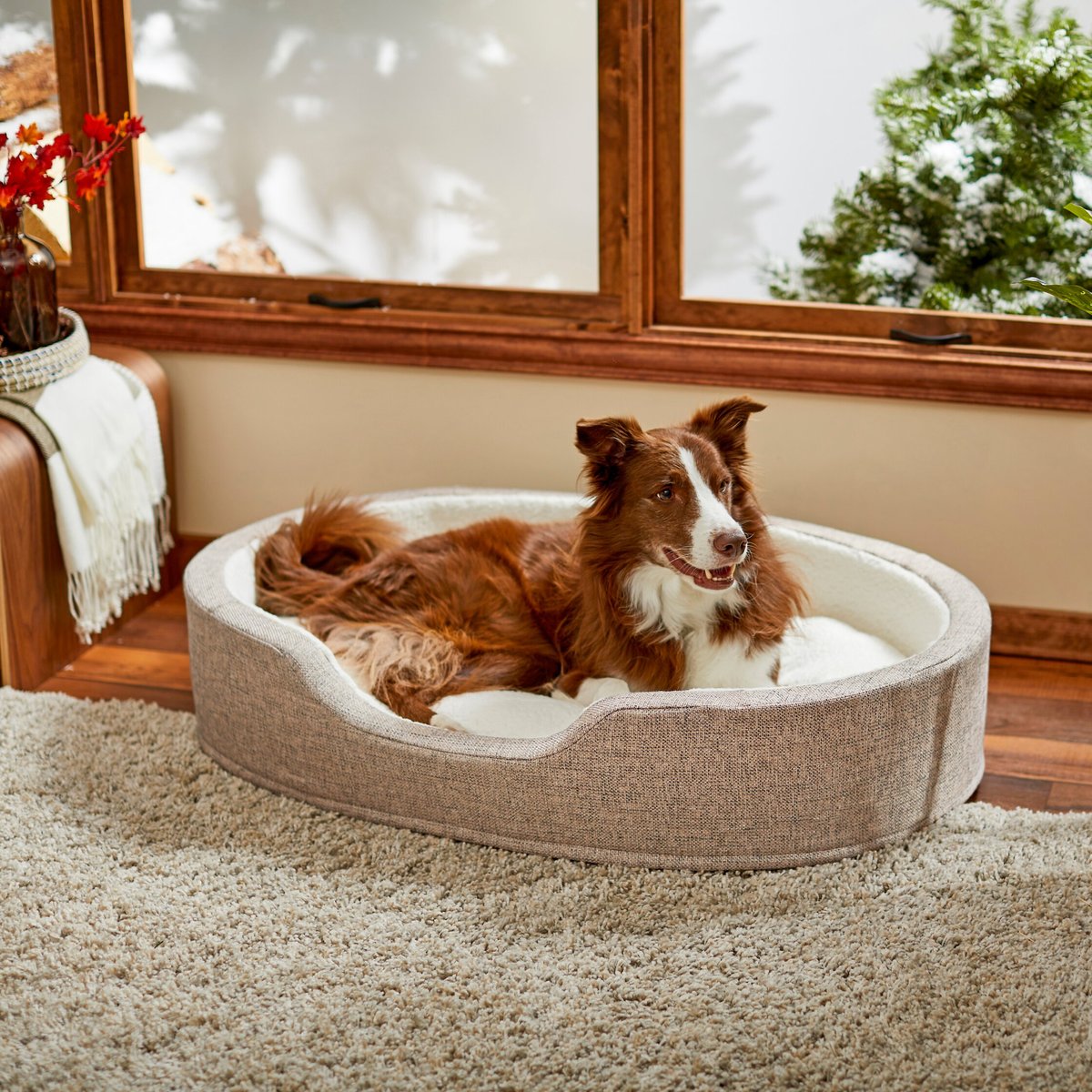 Frisco Bolster Cat & Dog Bed, Beige, X-Large