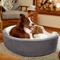 Show in main carousel: Frisco Bolster Cat & Dog Bed, Gray, X-Large slide 1 of 9