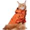 Show in main carousel: Frisco Bonded Wind & Water Resistant Dog & Cat Coat With Removable Hood, Orange, Medium slide 2 of 11