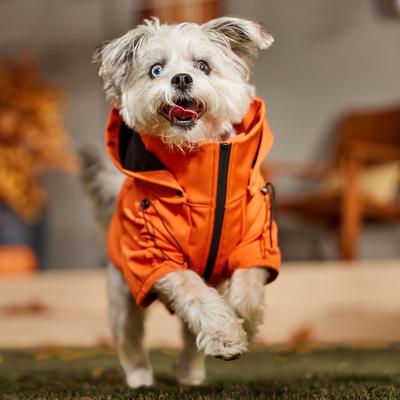 Show full view: Frisco Bonded Wind & Water Resistant Dog & Cat Coat With Removable Hood, Orange, Medium slide 8 of 11