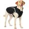 Show in main carousel: Frisco Bonded Wind & Water Resistant Dog Vest, X-Large slide 1 of 11
