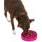 Show in main carousel: Frisco Bone Shaped Ridges Slow Feed Bowl, Pink, Medium: 3 cup slide 5 of 8
