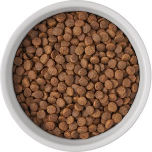 Frisco Bones Non-skid Ceramic Dog & Cat Bowl, Medium: 4 cup, 1 count