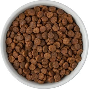 Frisco Bones Non-skid Ceramic Dog & Cat Bowl, Small: 2 cup, 1 count