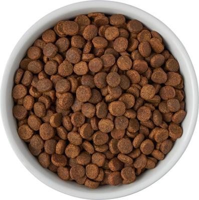 Show full view: Frisco Bones Non-skid Ceramic Dog & Cat Bowl, Small: 2 cup, 1 count slide 6 of 9