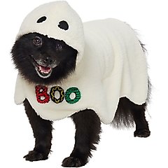 Frisco Boo-Tastic Ghost Dog & Cat Costume Cape, Medium