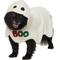 Show in main carousel: Frisco Boo-Tastic Ghost Dog & Cat Costume Cape, Medium slide 1 of 9
