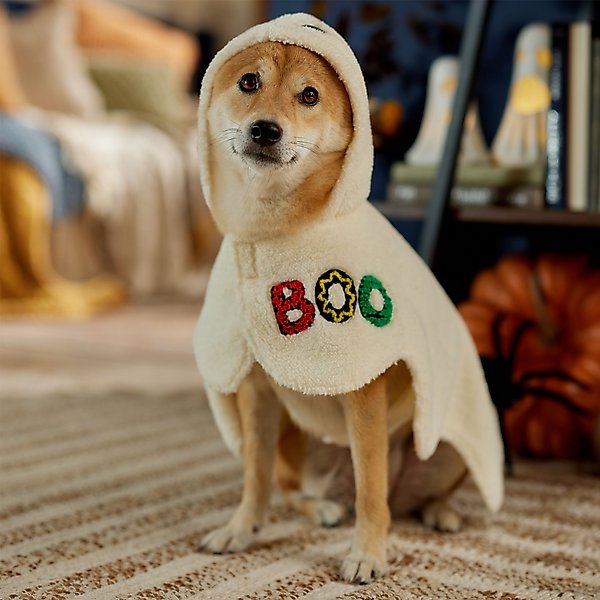 Show full view: Frisco Boo-Tastic Ghost Dog & Cat Costume Cape, Medium slide 7 of 9