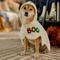 Show in main carousel: Frisco Boo-Tastic Ghost Dog & Cat Costume Cape, Medium slide 7 of 9