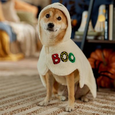 Show full view: Frisco Boo-Tastic Ghost Dog & Cat Costume Cape, Medium slide 7 of 9