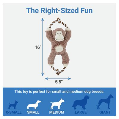 Show full view: Frisco Branded Pack - Frisco Forest Friends Stuffing-Free Skinny Plush Squeaky Dog Toy, 3 count + 3 other items slide 7 of 9